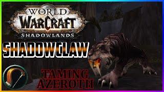Shadowclaw - Taming Azeroth Episode 30