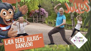 Bli med på Julius-dansen! - Den er skikkelig kuuul! | Dyreparken