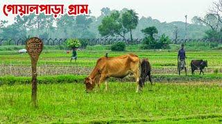 সাতক্ষীরার সীমান্তবর্তী গোয়ালপাড়া গ্রাম || Panorama Documentary