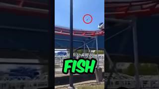 This Man Got Arrested For Throwing A Fish At A Roller Coaster