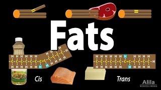 Unsaturated vs Saturated vs Trans Fats, Animation