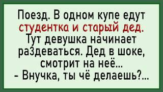 Такого ДЕД точно не ожидал! Сборник свежих анекдотов! Юмор!