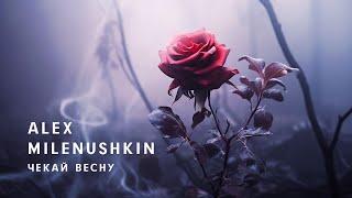 Alex Milenushkin - Чекай весну (Lyric Video)