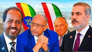 Wararkii u Danbeeyey Somaliland oo Ka Jawaabtay Dagaal ay Masar Kusoo qaaday Heshiiskii Itoobiya ee