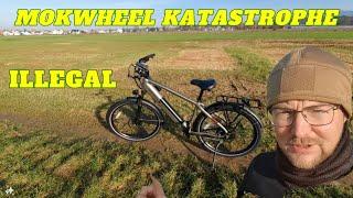 China Fahrrad Katastrophe Mokwheel Asphalt