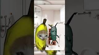 Banana Cat  Gets Rid Of Annoying Plankton 