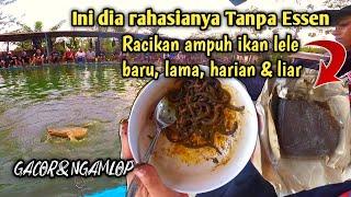 Rahasia ampuh tanpa Essen. cara meracik umpan lele ikan baru, lama dan liaran