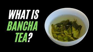 All you need to know About Bancha - How to make Bancha, How Bancha is made and what it tastes Iike