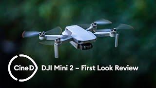 DJI Mini 2 Drone First Look Review - 4K Video, OcuSync 2.0, Same Ultra-Light Body