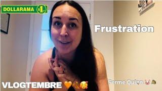 Dollarama | Frustration Bluenotes | Avancement de carrière?!? | Sourcils à refaire  VLOGTEMBRE ️