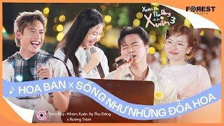 [XHTDRLX3] Mashup | Hoa Ban x Sống Như Những Đoá Hoa - Nhóm Xuân Hạ Thu Đông, Hương Tràm