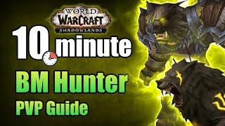 Shadowlands 9.0.2 Beast Mastery Hunter PVP Guide in under 10 minutes | WoW