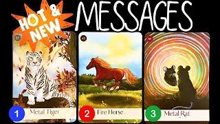 Hot & New Messages From Your Spirit Guides!pick a card reading 🃏Timeless tarot card reading