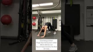 Exercise Library - Downdog Shoulder Press Push ups and Mods