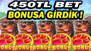 THE DOG HOUSE | BÜYÜK RİSK ALDIK VURGUNU YAPTIK !!!  #thedog #slot #slotoyunları #casino