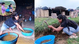 Smearing floor with Cow dung || Jina & Jonson working in shelter@Sanjipjina @Manjitamrnati