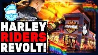 Harley Davidson Outrage GOES NUCLEAR As NEW Video Of CEO Proves HE LIED & Riders & Locals RAGE!