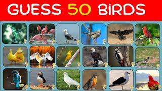 Guess the Bird quiz ! Brain teasers ! Time pass colony ! Every kid must know