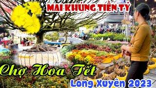 CHỢ HOA TẾT LONG XUYÊN 2023 - Trăm Hoa Khoe Sắc Chào Xuân, MAI KHỦNG TIỀN TỈ Đổ Bộ Cặp Bờ Kè | KPVL