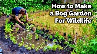 How To Make a Bog Garden - For Wildlife - DIY