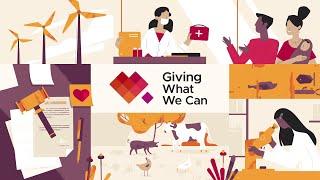 Doing the most good with your charitable donations