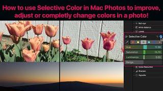 Mac Photos App Tutorial: How to use Selective Color to improve, adjust or completely change colors!