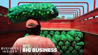 How Mexico Grows Limes On Orange Trees To Supply The US | Big Business | Business Insider