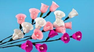 DIY Morning Glory Paper Flower From Crepe Paper Tutorials | Creative DIY