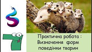 Практична робота : Визначення  форм поведінки тварин