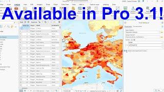 How to find duplicates in your data with ArcGIS Pro