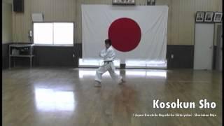 Japan Karatedo Hayashi-ha Shitoryukai - Shorinkan Dojo - Video 2