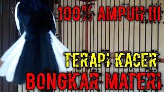 100% AMPUH ! TERAPI KACER BUKA EKOR DAN BONGKAR MATERI