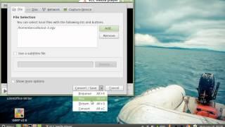 Converting Audio/Video .ogv file to .mp4 using VLC Media Player in Linux Mint 13 Cinnamon