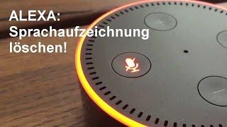 Amazon Echo: Alexa speichert Sprachbefehle: so löscht man sie!