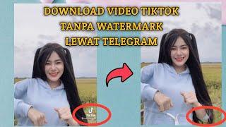 Cara Download video Tiktok Tanpa Watermark Lewat Telegram - Langsung Bisa!