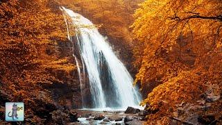 12 HOURS of Autumn Forest Waterfall  Beautiful Nature Scenery & Waterfall Sounds (No Music)