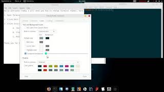 How to change Terminal themes in Kali linux