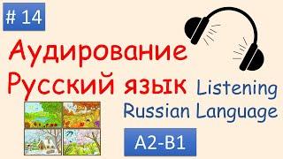 #14 | Аудирование Русский язык А2 - B1| Listening Russian A2 - B1| Времена года