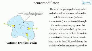 neuromodulator (English) - Medical terminology for medical students -