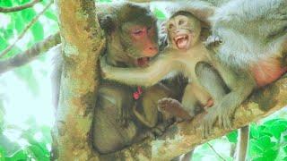 Today Mom Monkey Jane Feel Not Fine And Beating Daughter Monkey Janna