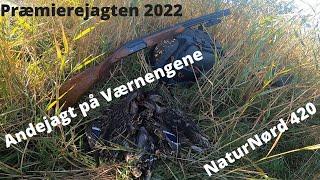 NaturNørd 420. Præmierejagten på Værnengene 2022