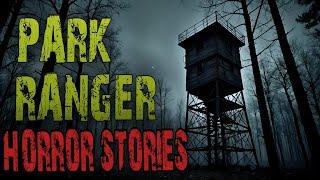 Scary Park Ranger Stories That Will Give You Chills | Forest Ranger, National Park, Missing Person