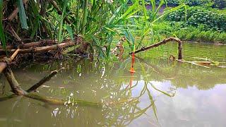 NGERI DI PINGGIRAN ADA IKAN BABON NYA || mancing ikan red devil