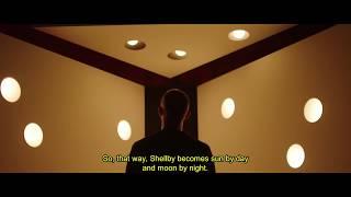 Shellby | Modular Lighting Instruments