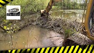 Incredible Release Of Water After Massive Beaver Dam Removal!