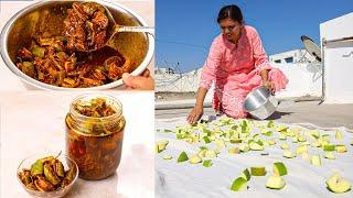 आम का असली अचार कैसे बनाते है | Mango Pickle Recipe | Traditional Aam Ka Achar | Kabitaskitcen