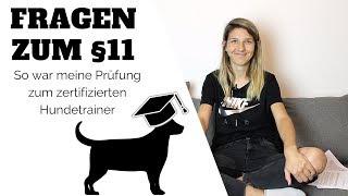 Sachkundenachweis für Hundetrainer - So war meine Prüfung zum Paragraph 11