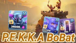 P.E.K.K.A BoBat | TH 12 | Pekka + Bowler + Bat Spell | 3 Star CW Attack | ground strike | COC 04/19