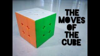 The Moves of the Cube | Rubik's Cubes & Twisty Puzzles | Neev THM