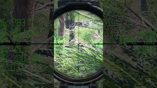 Sniper Overwatch | SCUM PvP Gameplay #scumgameplay #scum #scumpvp